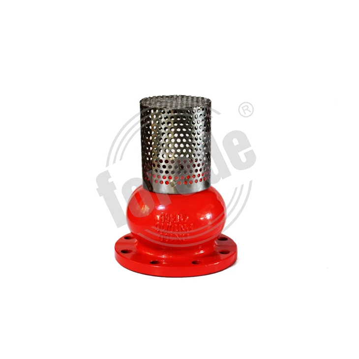 Foot Valve Flange End