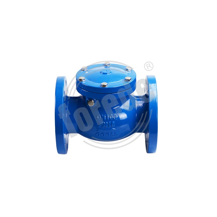 Check Valve Swing